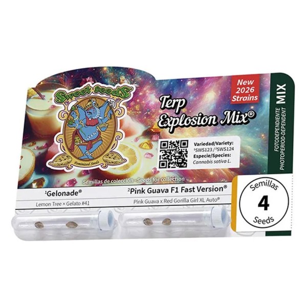 Terp Explosion Mix fem.  Sweet Seeds