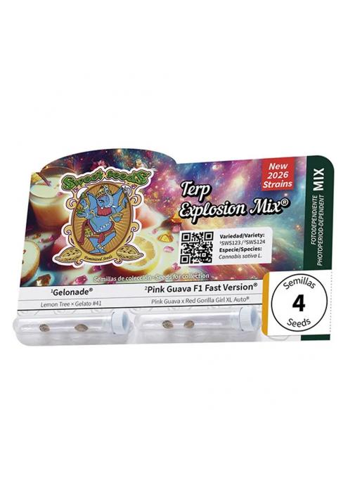 Terp Explosion Mix fem.  Sweet Seeds