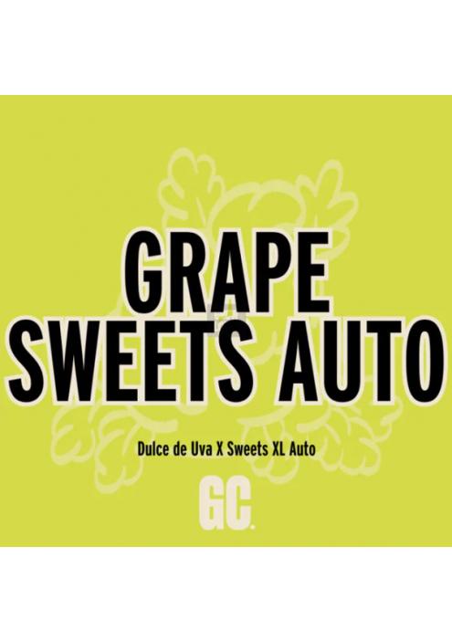 Grape Sweets Auto  5 u.  Grand Cru Genetics