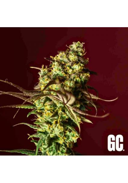 Berry Bliss  Grand Cru...