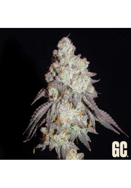 Frenchy's Lass  Grand Cru...