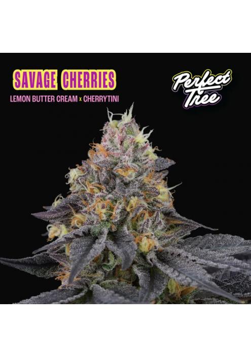 Savage Cherries