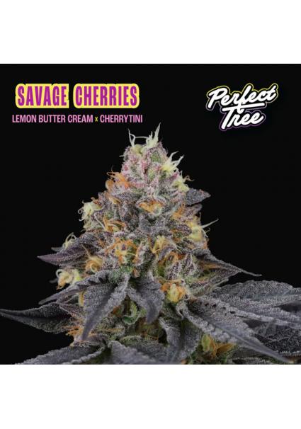 Savage Cherries