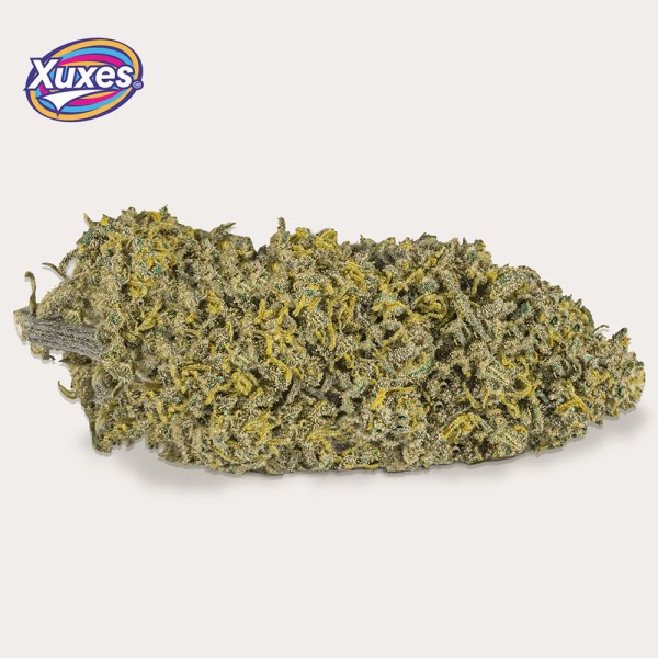 Cañamo Cbd Xuxes Amnesia 3 gr.