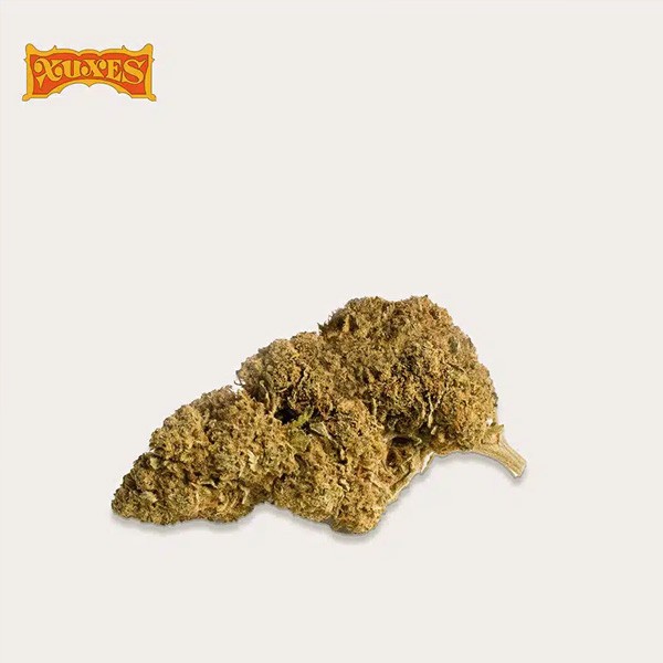 Cañamo Cbd Xuxes Somango 3 gr.