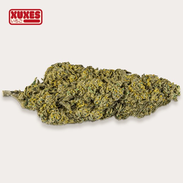 Cañamo Cbd Xuxes Strawberry 3 gr.