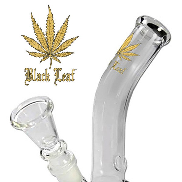 Bong Cristal Gold Leaf Oro Curved 18 cm.