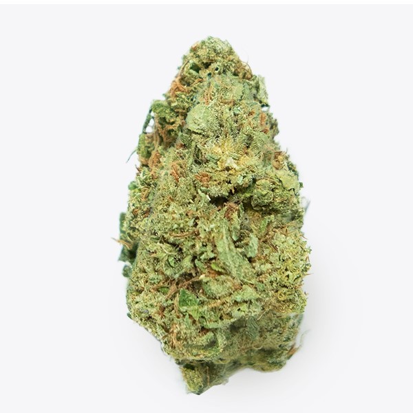 Cañamo Cbd Gorilla Grillz G.House Gelato.