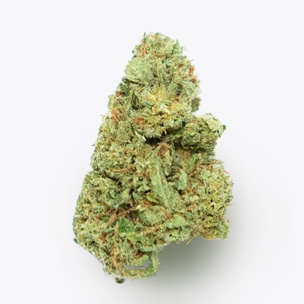 Cañamo Cbd Gorilla Grillz G.House Leroy Jenkins.