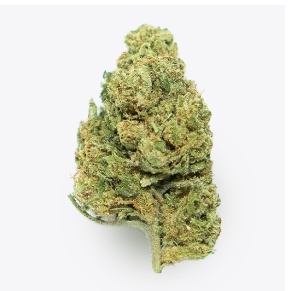 Cañamo Cbd Gorilla Grillz G.House Leroy Jenkins.