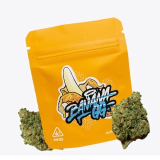 Cañamo Cbd Gorilla Grillz Indoor Banana GG.