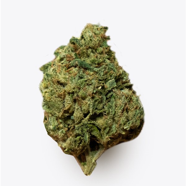 Cañamo Cbd Gorilla Grillz Indoor Banana GG.