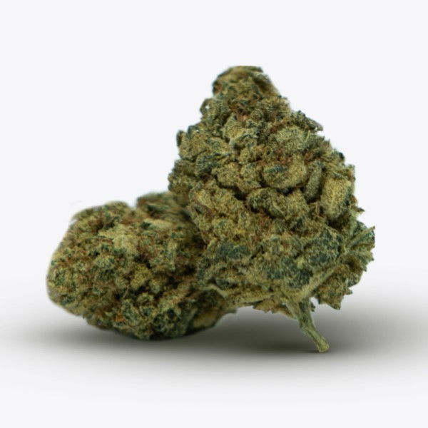 Cañamo Cbd Gorilla Grillz Indoor Forbidden Fruit.