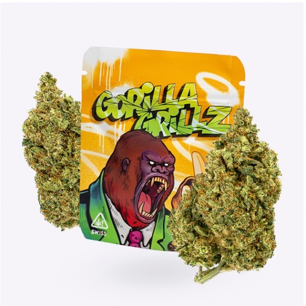 Cañamo Cbd Gorilla Grillz Indoor Gorilla Grillz.