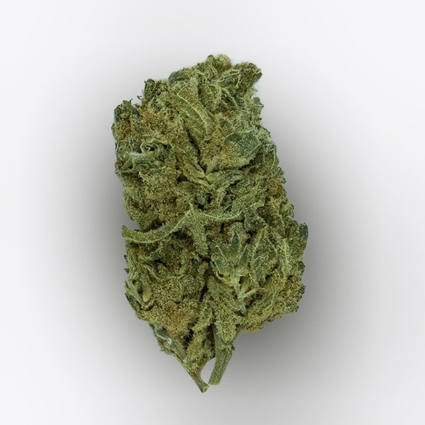 Cañamo Cbd Gorilla Grillz Indoor Wedding Cake.