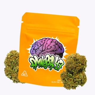 Cañamo Cbd Gorilla Grillz Outdoor Amnesia 47.