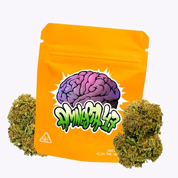 Cañamo Cbd Gorilla Grillz Outdoor Amnesia 47.