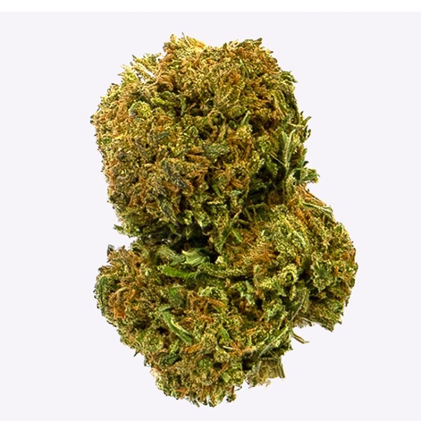 Cañamo Cbd Gorilla Grillz Outdoor Amnesia 47.