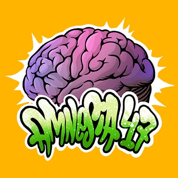 Cañamo Cbd Gorilla Grillz Outdoor Amnesia 47.