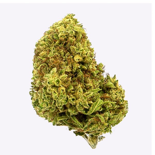 Cañamo Cbd Gorilla Grillz Outdoor Cherry Kush.