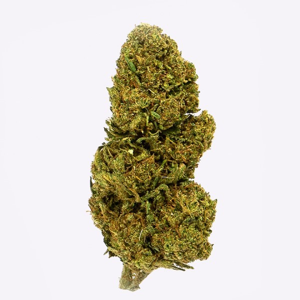 Cañamo Cbd Gorilla Grillz Outdoor Lemon Haze.