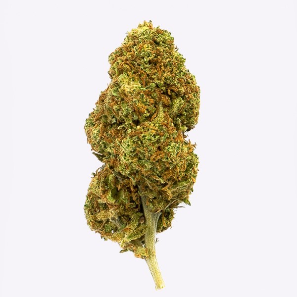 Cañamo Cbd Gorilla Grillz Outdoor Strawberry.