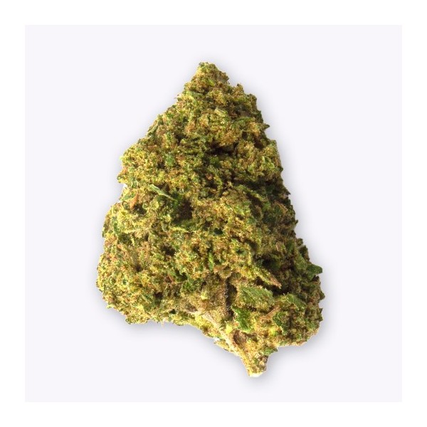 Cañamo Cbd Gorilla Grillz Outdoor Zkittlez.