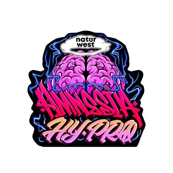 Cañamo Cbd Naturwest  Indoor Amnesia Hy Pro 2 gr.