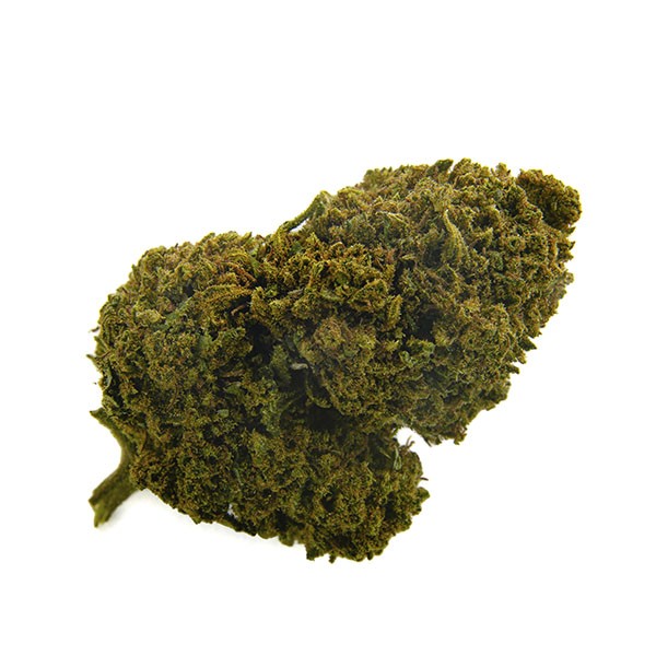 CBD Bee  Ak-47.