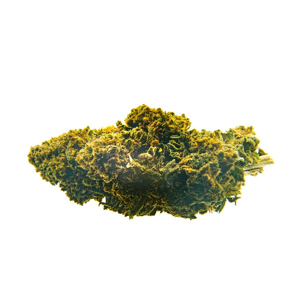 CBD Bee Amnesia.