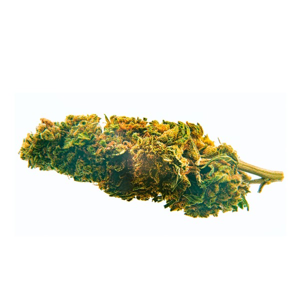 CBD Bee  Blueberry.