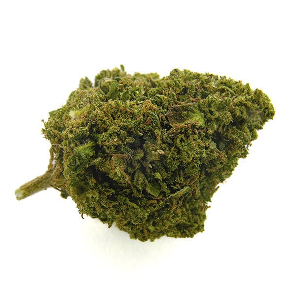 CBD Bee  Cheese Poison.