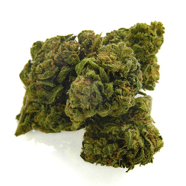 CBD Bee  Monkey Kush.