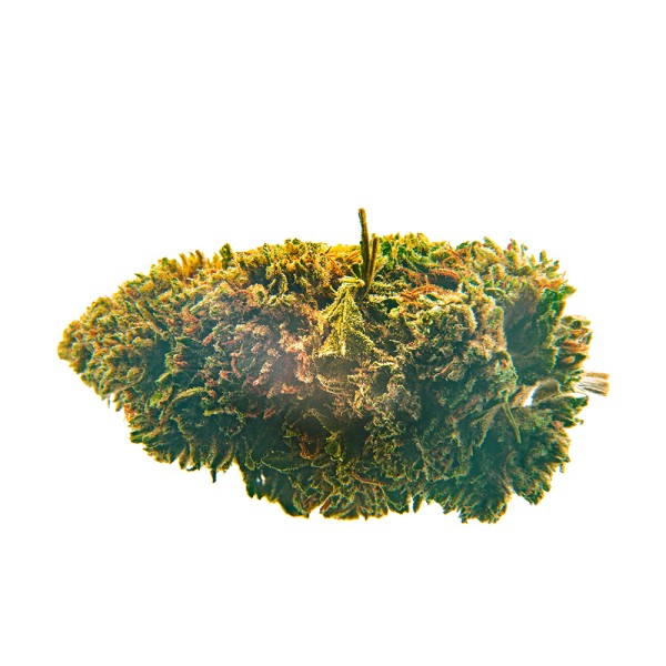 CBD Bee  White Widow.