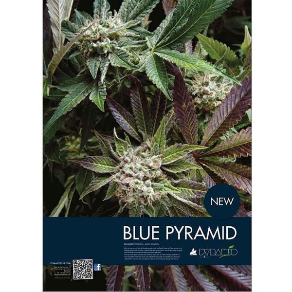 BLUE PYRAMID