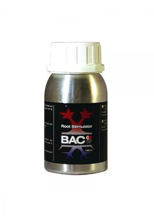 BAC ROOT STIMULATOR