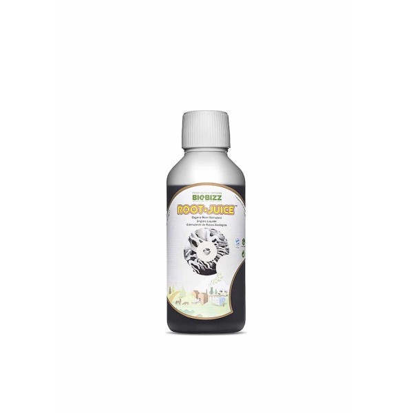 ROOT JUICE