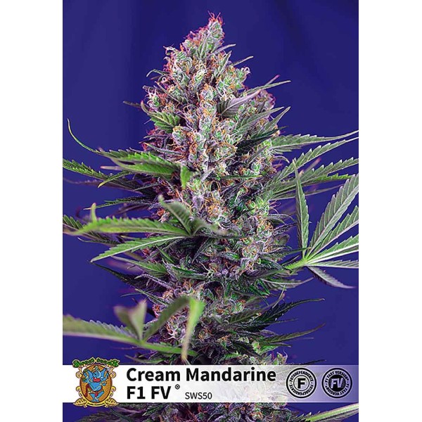 CREAM MANDARINE FAST VERSION