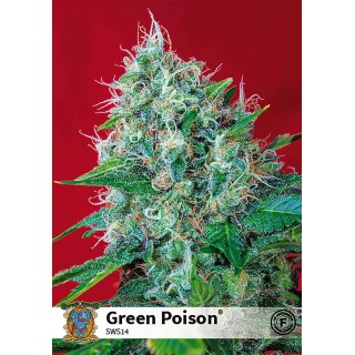 GREEN POISON