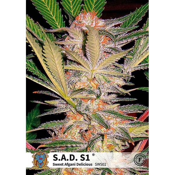 SWEET AFGHANI DELICIOUS (SAD)