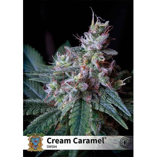 CREAM CARAMEL
