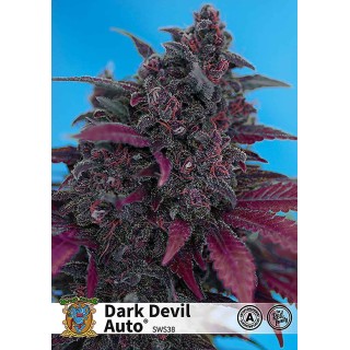 DARK DEVIL AUTO