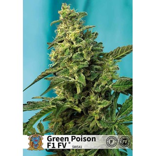 GREEN POISON FAST VERSION