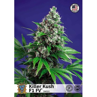 KILLER KUSH FAST VERSION