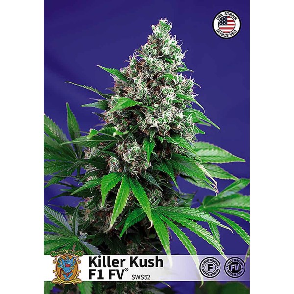 KILLER KUSH FAST VERSION
