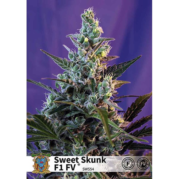 SWEET SKUNK FAST VERSION