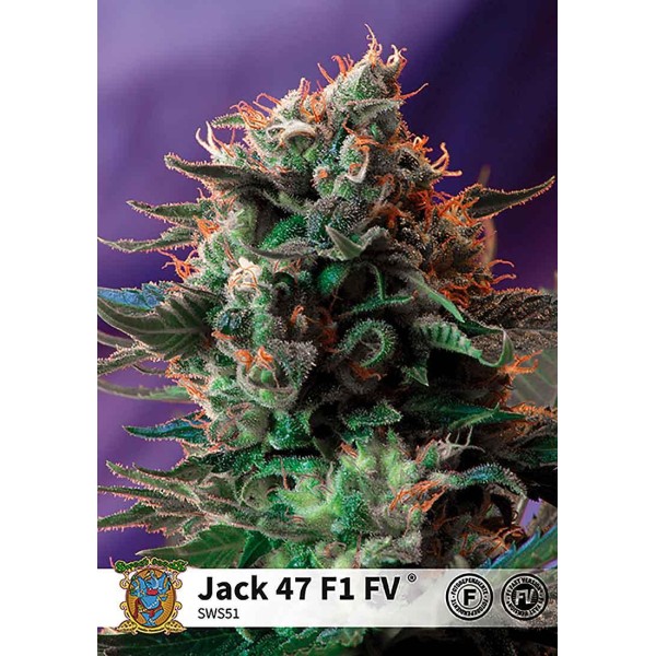 JACK 47 FAST VERSION