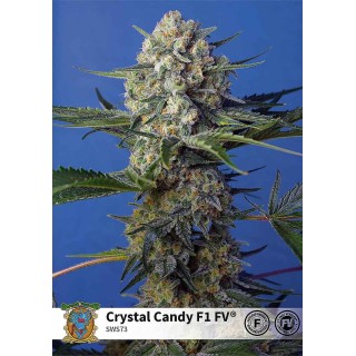 CRYSTAL CANDY FAST VERSION