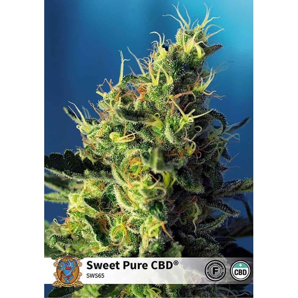 SWEET PURE CBD