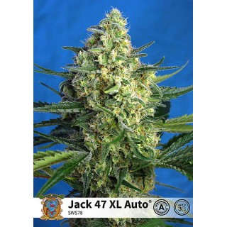 JACK 47 XL AUTO